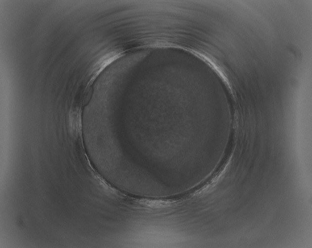 X0000116561289200912241607