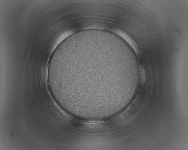 X0000116561290200912241607