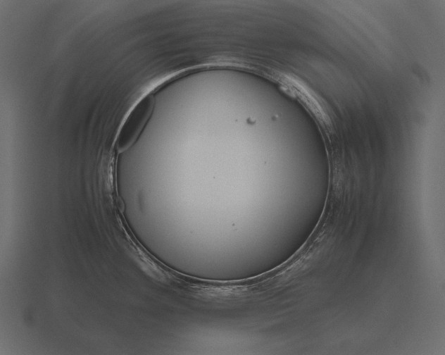 X0000116561292200912241607