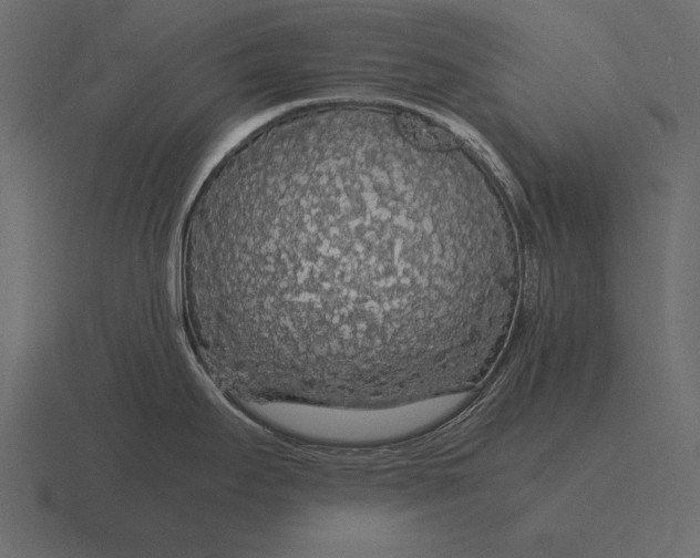 X0000116561295200912241607