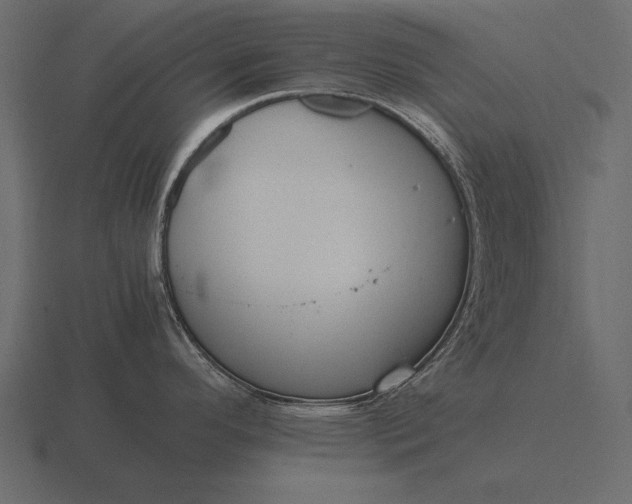 X0000116561296200912241607