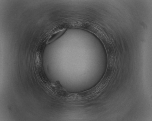 X0000116561298200912241607