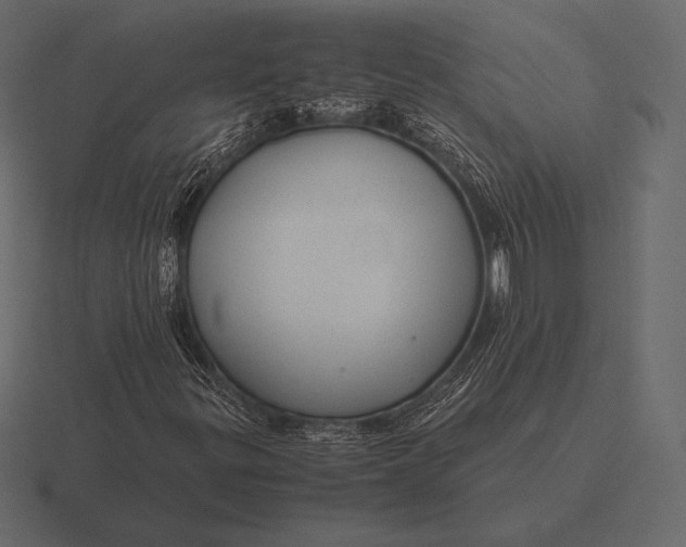 X0000116561299200912241607