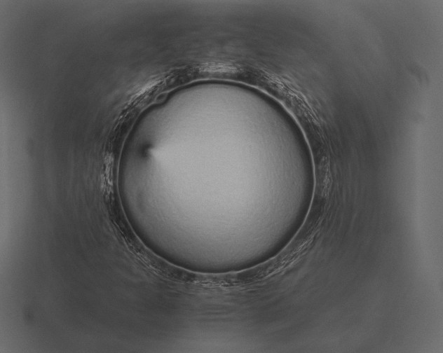 X0000116561301200912241607