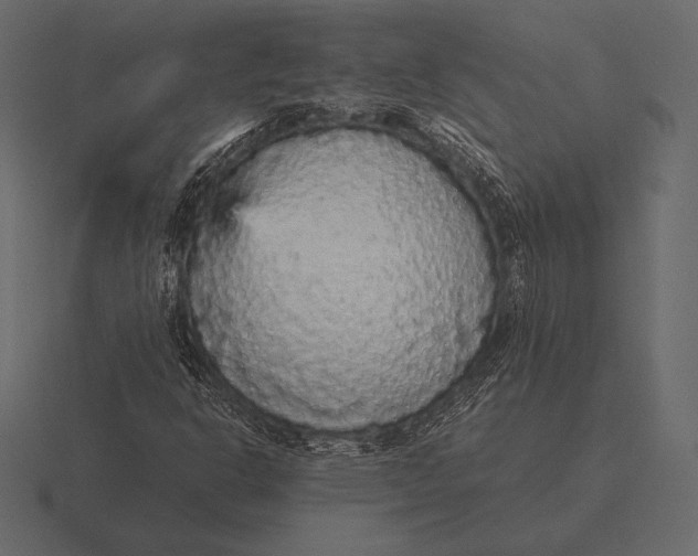 X0000116561302200912241607