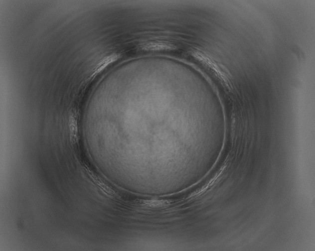 X0000116561305200912241607