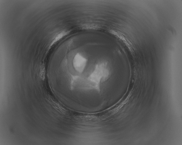 X0000116561306200912241607