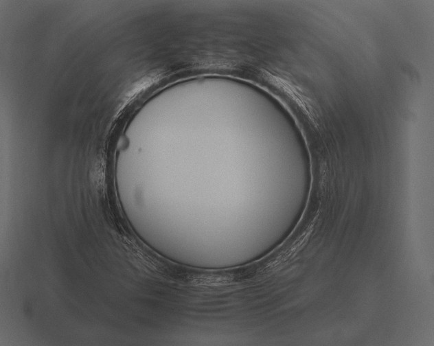 X0000116561307200912241607