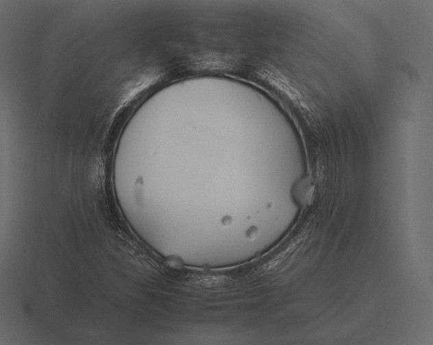 X0000116561309200912241607