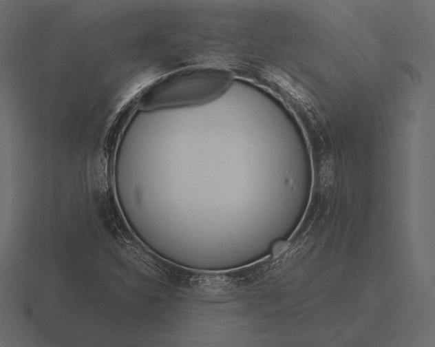 X0000116561310200912241607