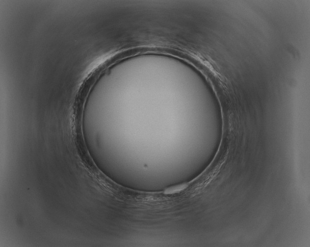 X0000116561311200912241607