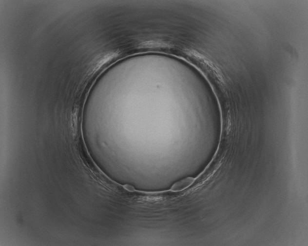 X0000116561313200912241607