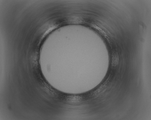 X0000116561314200912241607