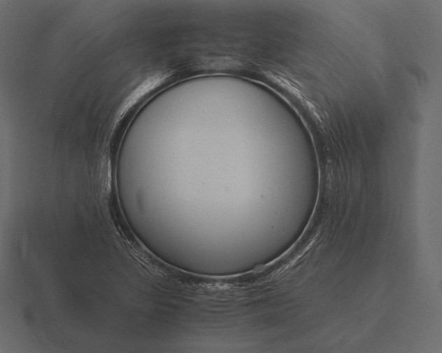 X0000116561317200912241607