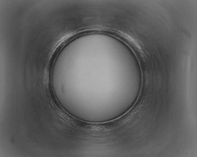 X0000116561318200912241607