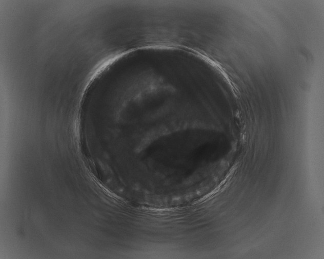 X0000116561319200912241607