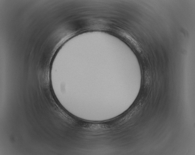 X0000116561322200912241607