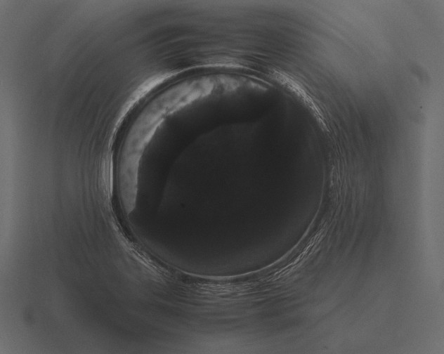 X0000116561323200912241607