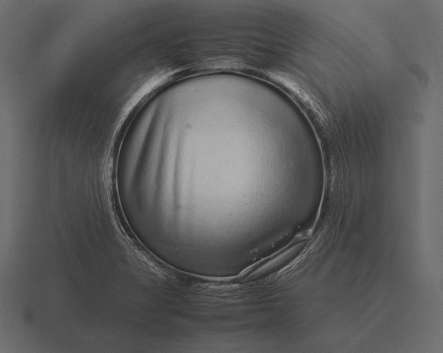 X0000116561325200912241607