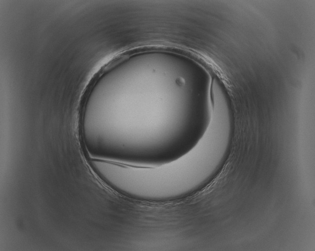 X0000116561326200912241607