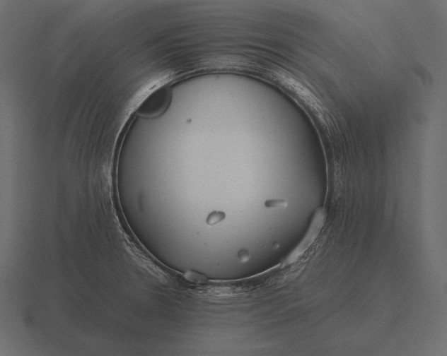 X0000116561330200912241607