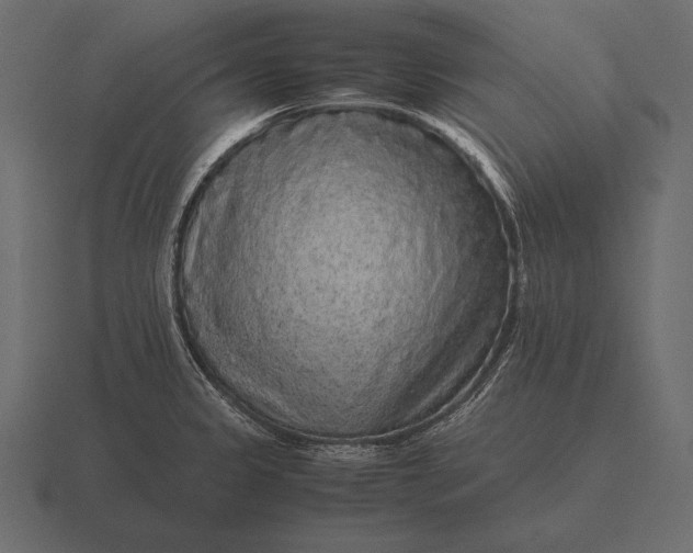 X0000116561333200912241607