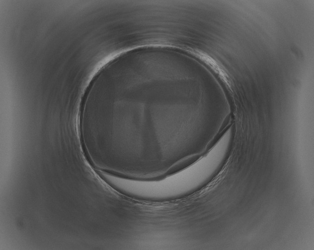 X0000116561334200912241607