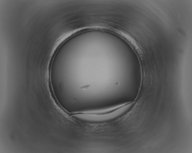 X0000116561335200912241607