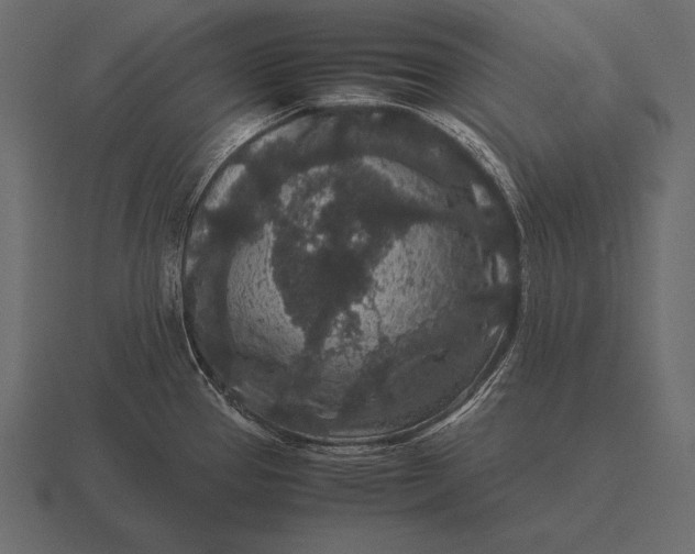 X0000116561337200912241607