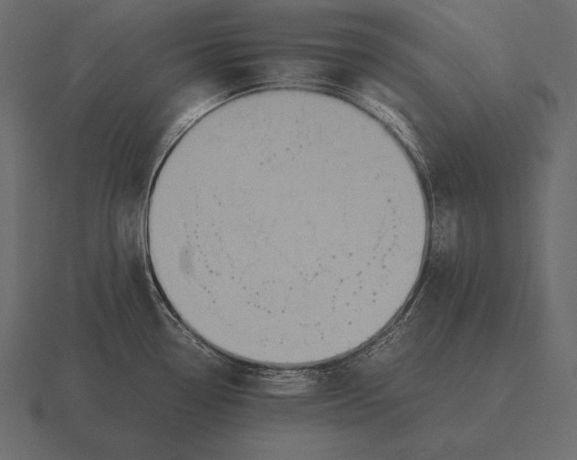 X0000116561338200912241607