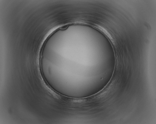 X0000116561339200912241607