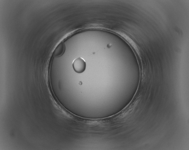 X0000116561341200912241607