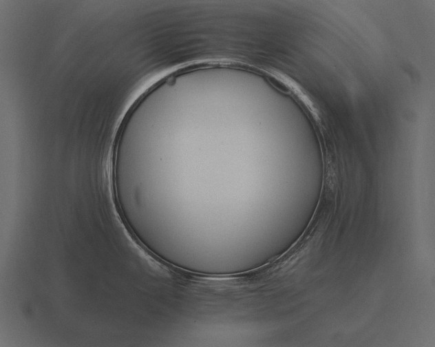 X0000116561343200912241607