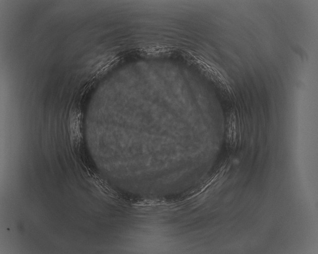 X0000116561346200912241607