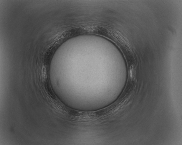 X0000116561347200912241607