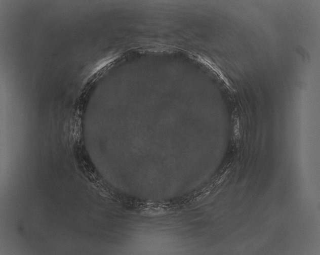 X0000116561350200912241607