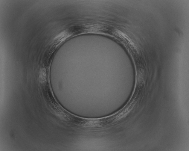 X0000116561353200912241607