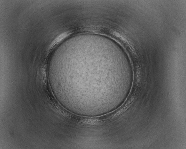 X0000116561354200912241607