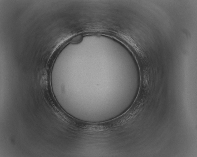 X0000116561356200912241607