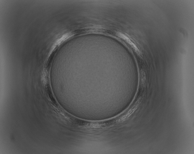 X0000116561357200912241607