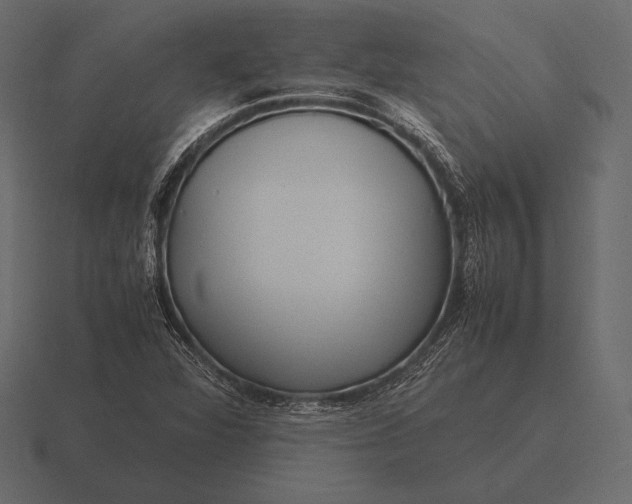 X0000116561360200912241606