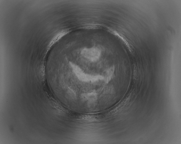 X0000116561362200912241606