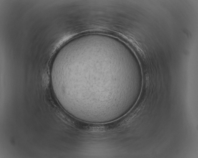 X0000116561363200912241606