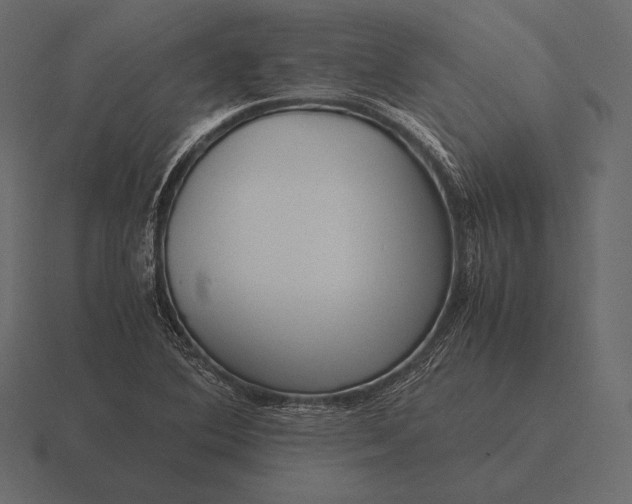 X0000116561364200912241606