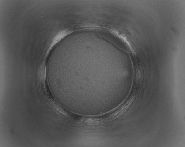 X0000116561365200912241606