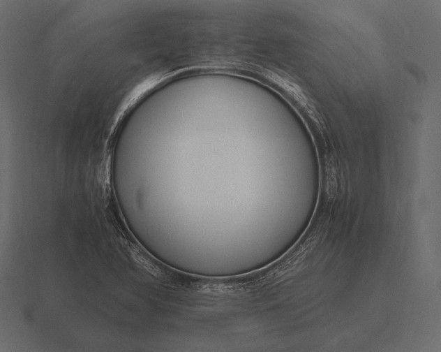 X0000116561366200912241606