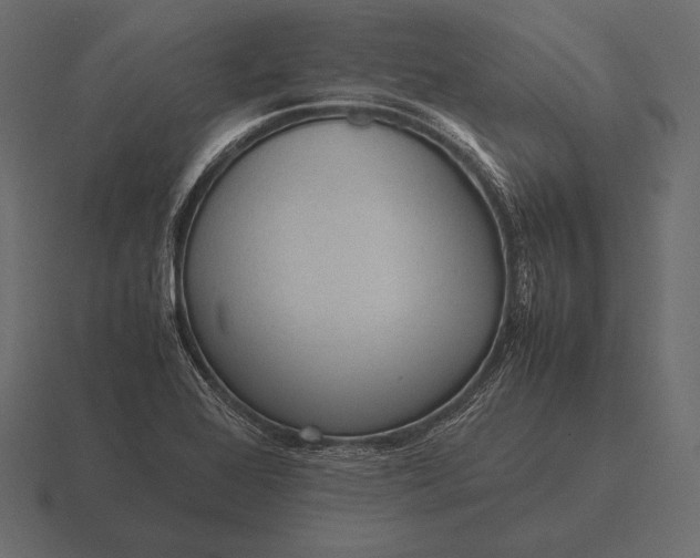 X0000116561368200912241606