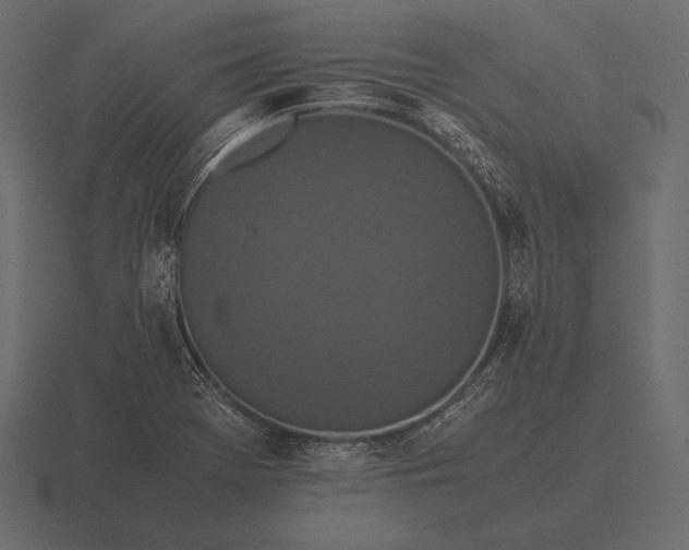 X0000116561369200912241606