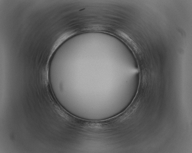 X0000116561370200912241606