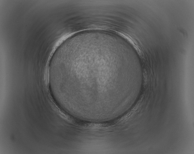 X0000116561371200912241606